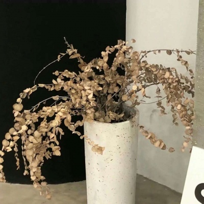 兽设设计灵感合集FurryQQ群